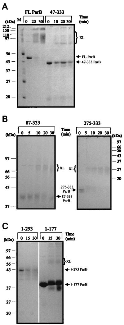 FIG. 7