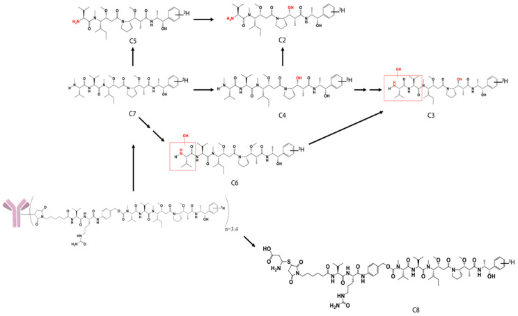 Figure 8