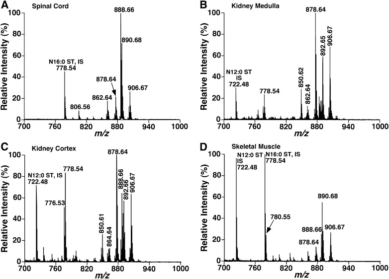 Fig. 6.