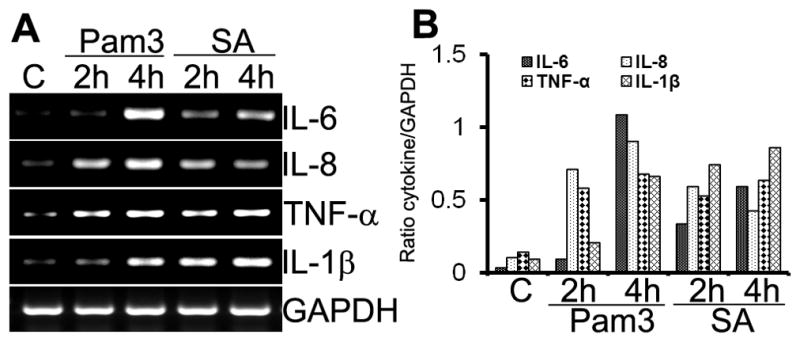 Figure 4