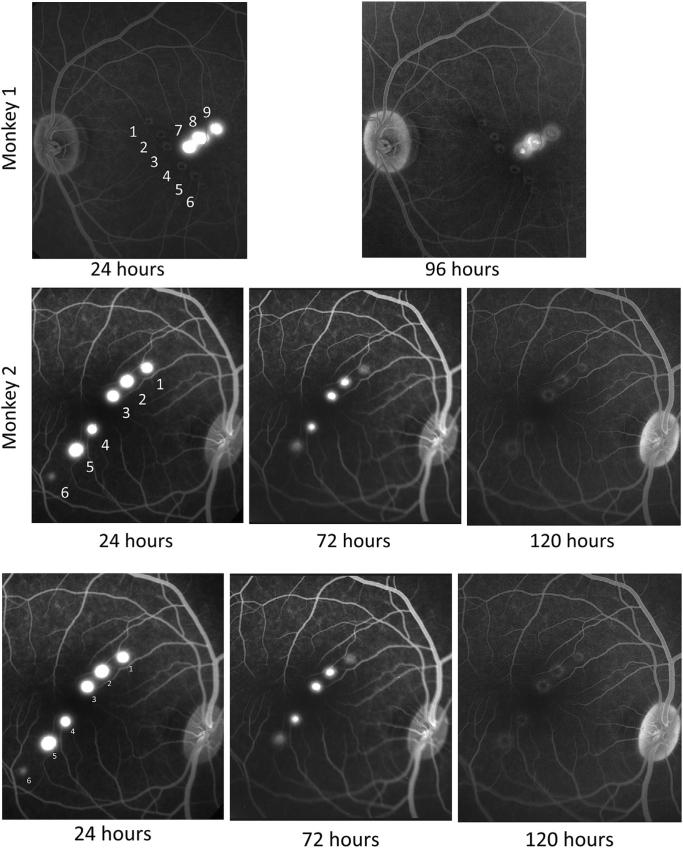 Fig. 2