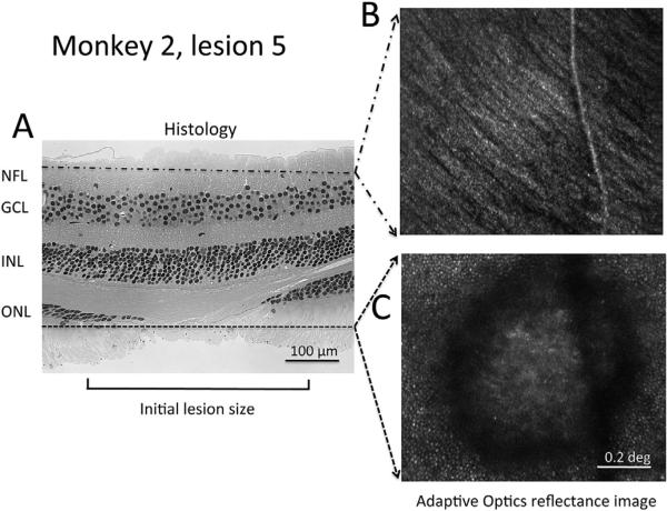 Fig. 5