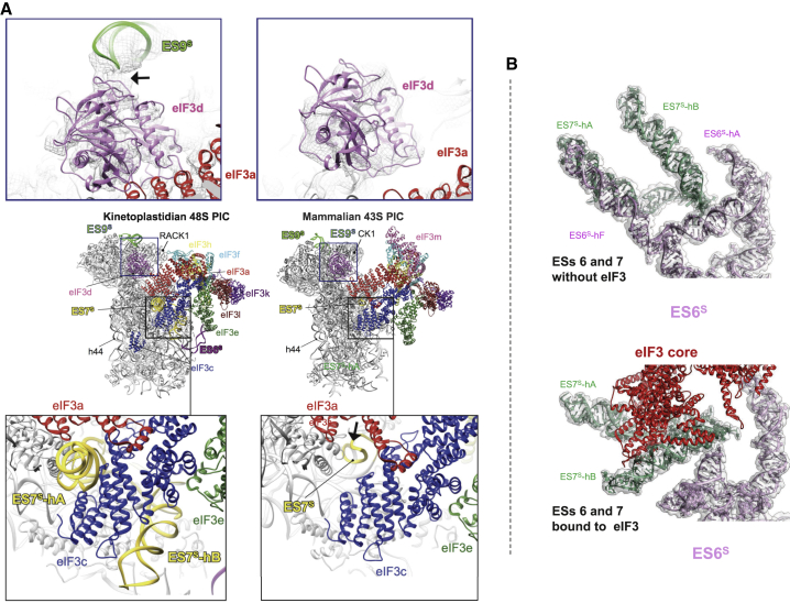 Figure 4