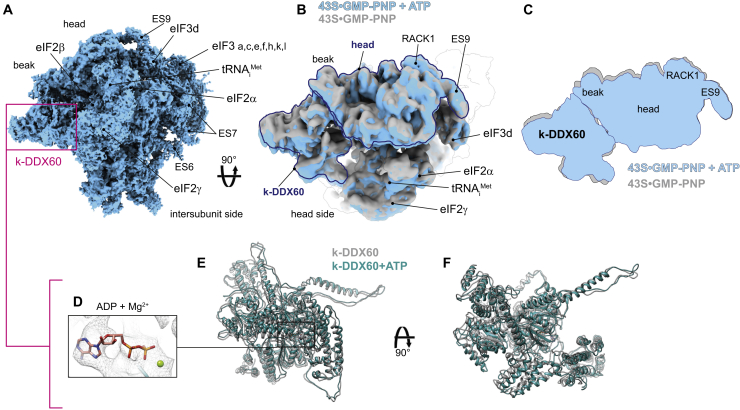 Figure 6