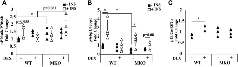 Figure 6