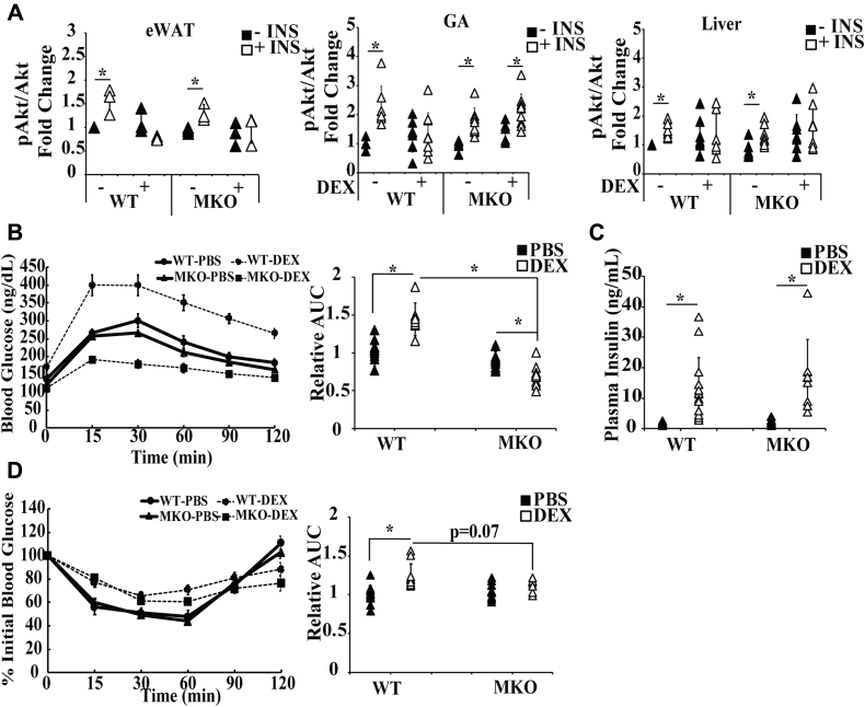 Figure 3