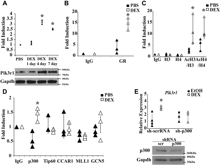 Figure 1