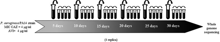 FIG 1