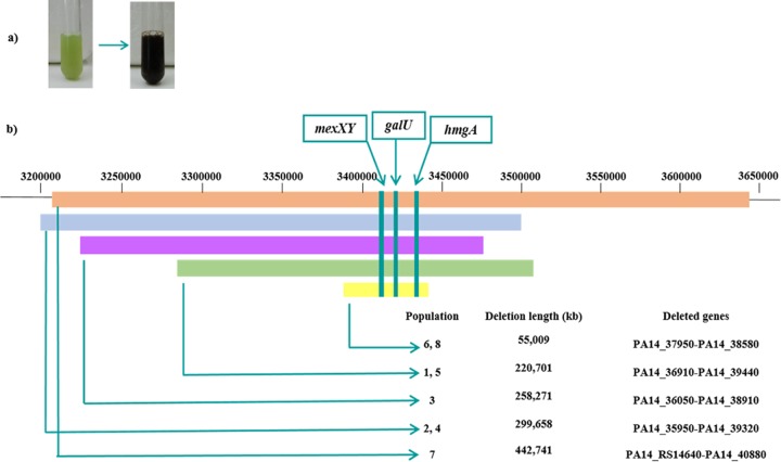 FIG 3