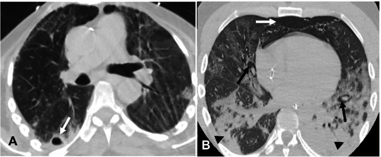 Fig. 8