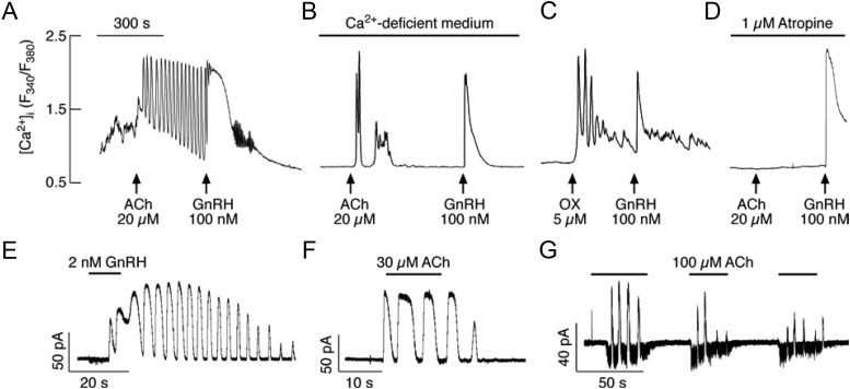 Fig. 3.