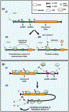 Figure 3: