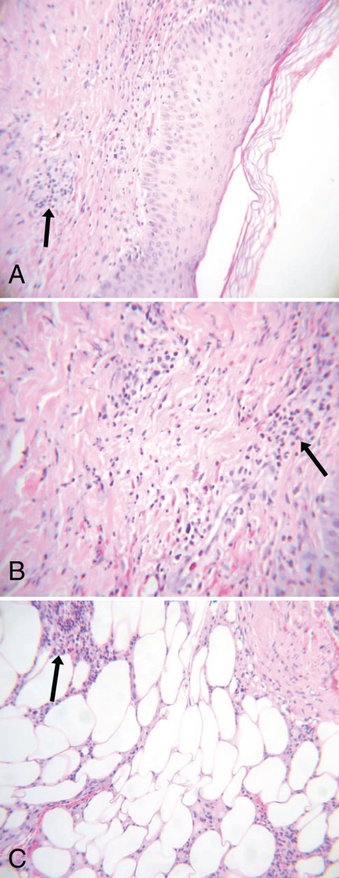 Figure 2)