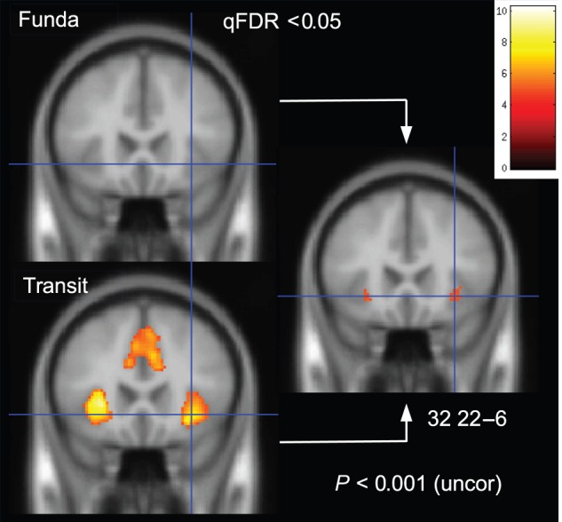 Figure 5.