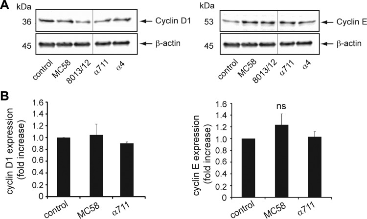 FIG 6