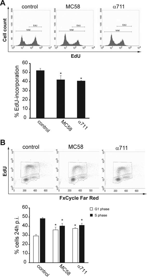 FIG 3