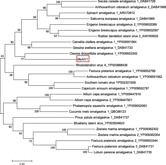 Fig. 6