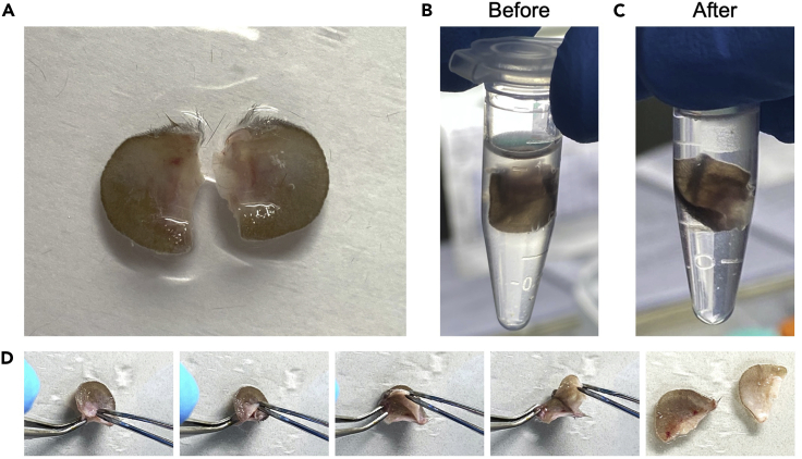 Figure 3