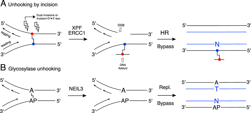 Scheme 1.