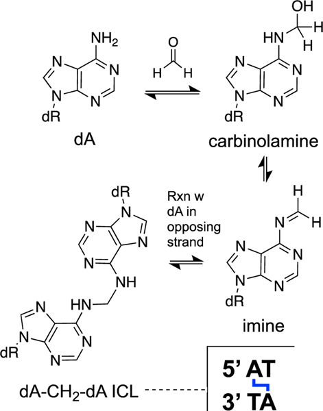 Scheme 11.