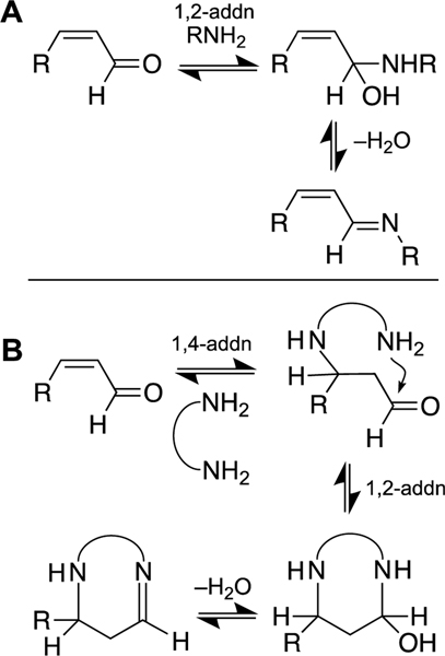 Scheme 3.