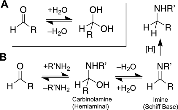 Scheme 2.