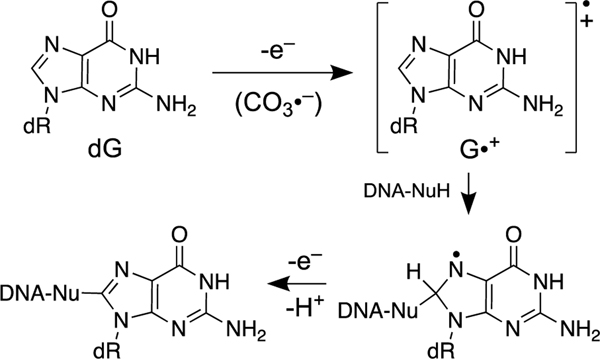 Scheme 15.