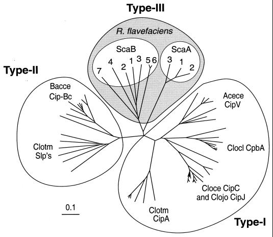 FIG. 8