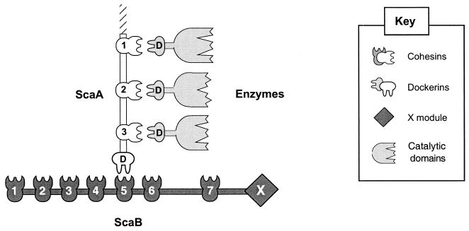 FIG. 7