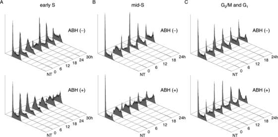 Figure 5.