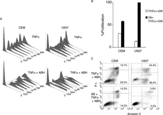 Figure 10.