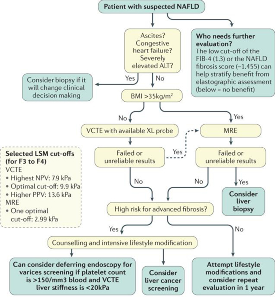 Figure 2 |