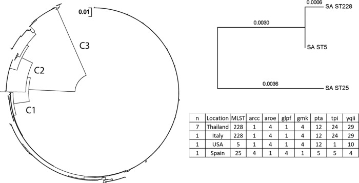 FIG 5