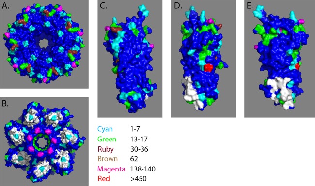 FIG 6