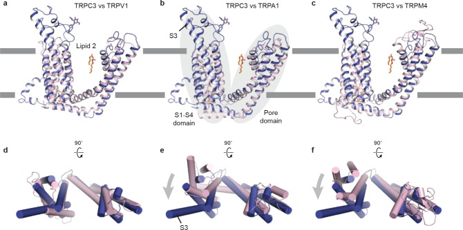 Figure 3—figure supplement 1.