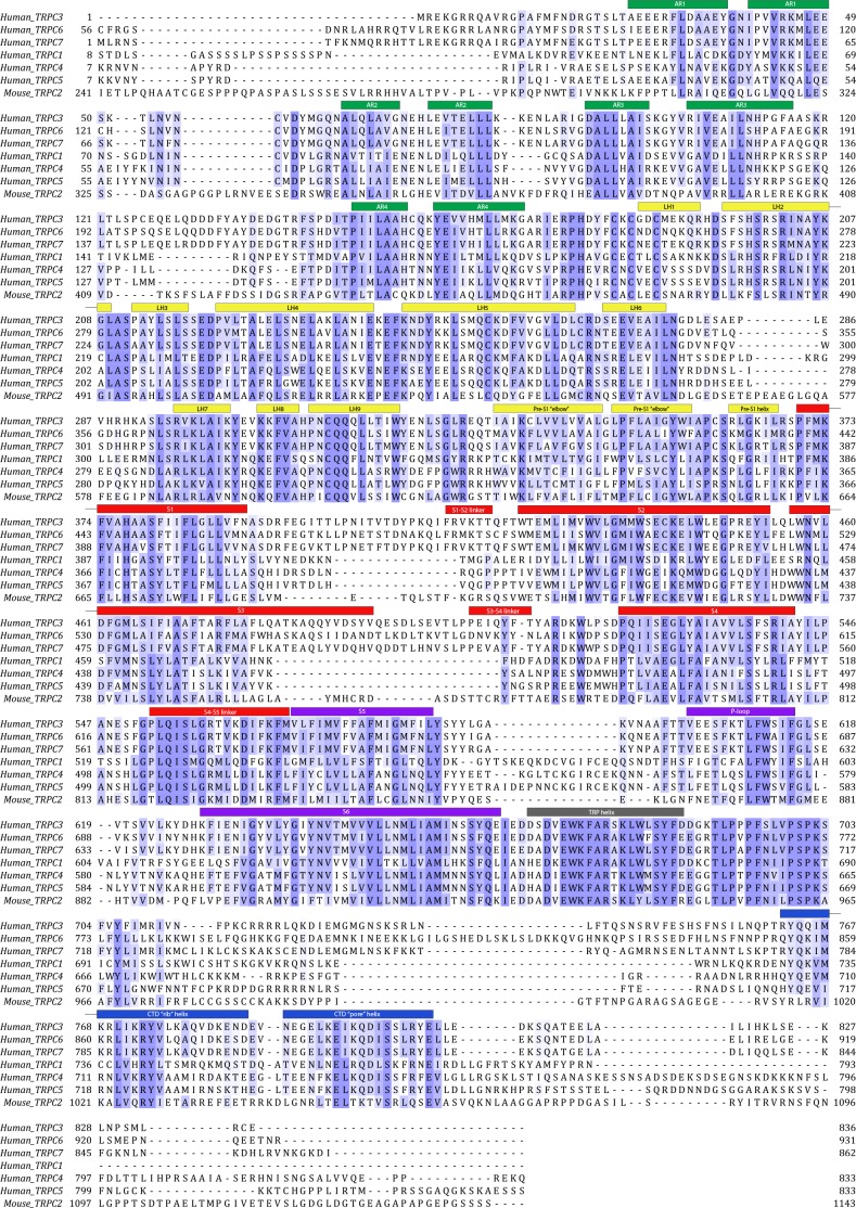 Figure 1—figure supplement 4.