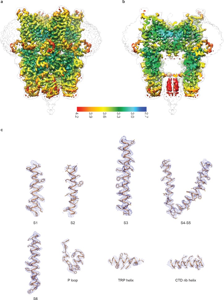 Figure 1—figure supplement 3.