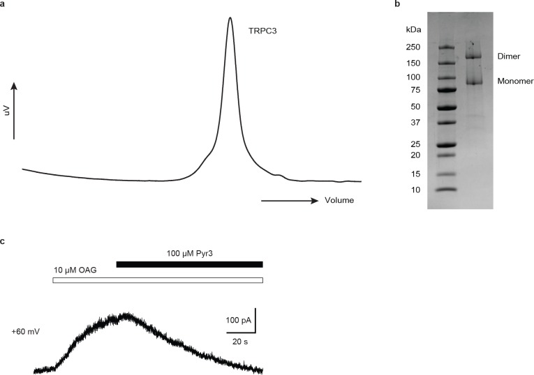 Figure 1—figure supplement 1.