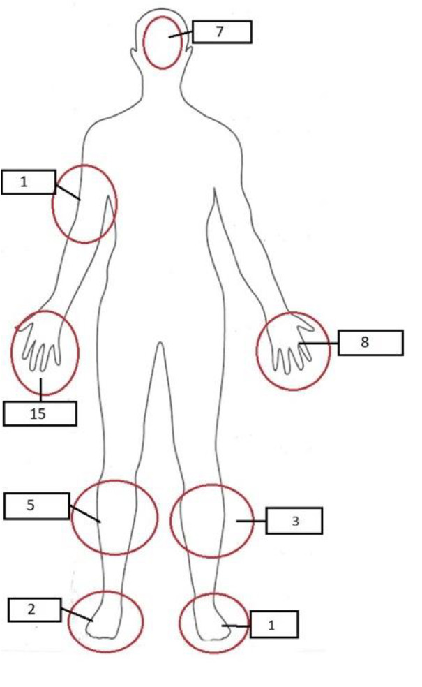 Figure 2.