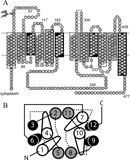 FIGURE 1.