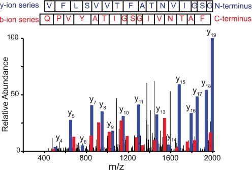 FIGURE 5.