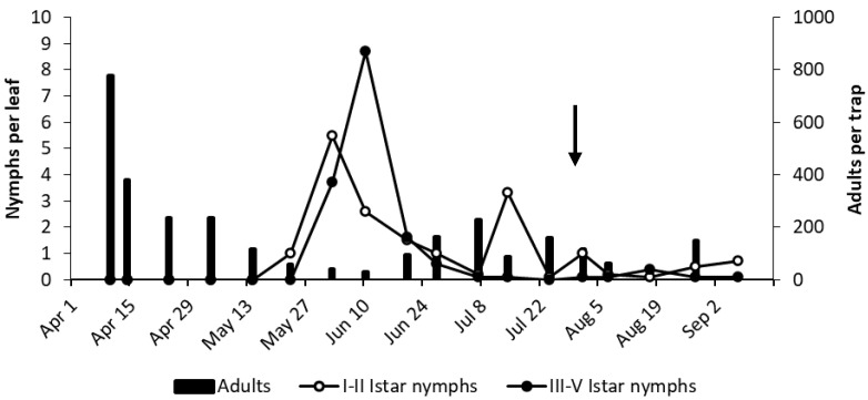 Figure 6