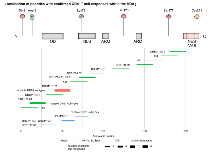 Fig. 4