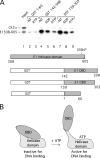 FIG. 5.