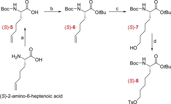 Scheme 2