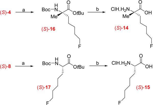 Scheme 4