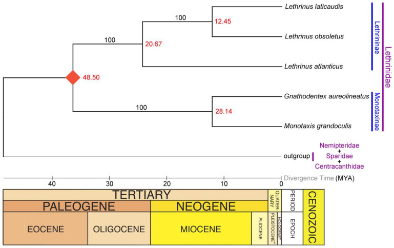 Figure 5