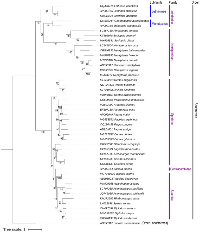 Figure 4