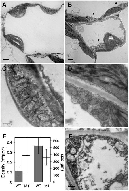 Figure 6.