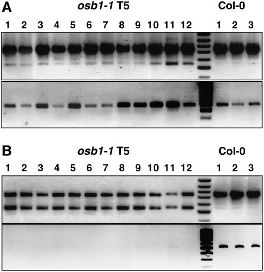 Figure 9.